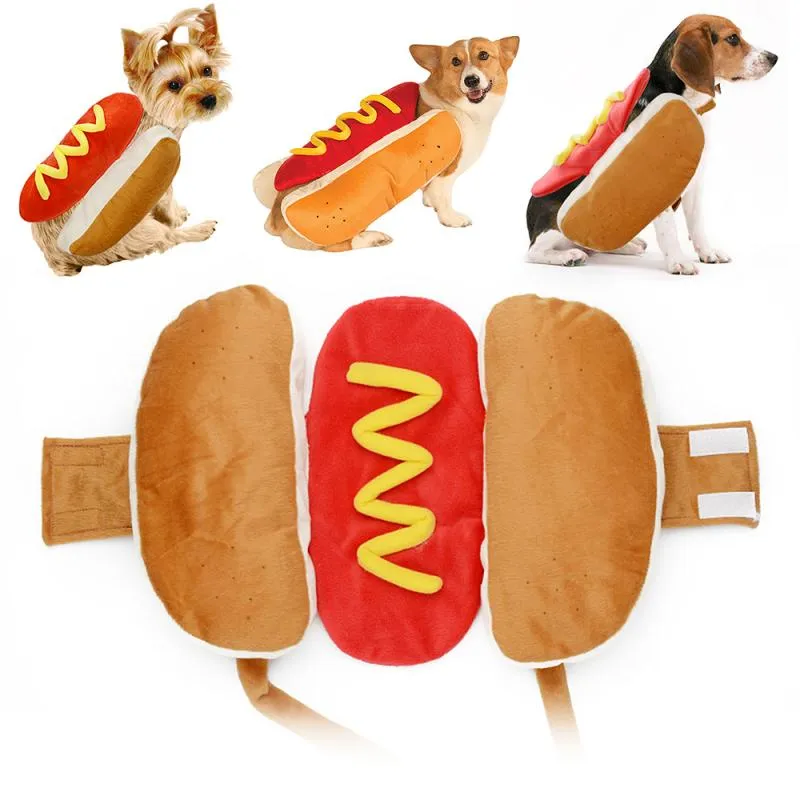 Dach Everywhere™ Hot Dog & Hot Cowboy Costume