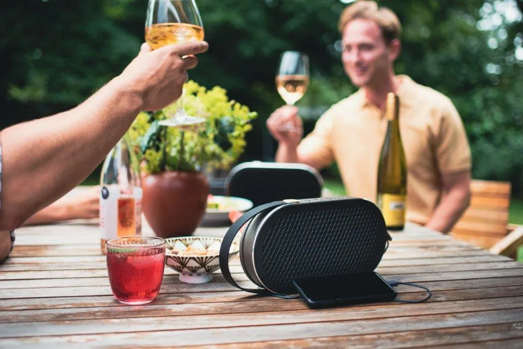 DALI KATCH G2 Portable Bluetooth Hi-Fi Speaker