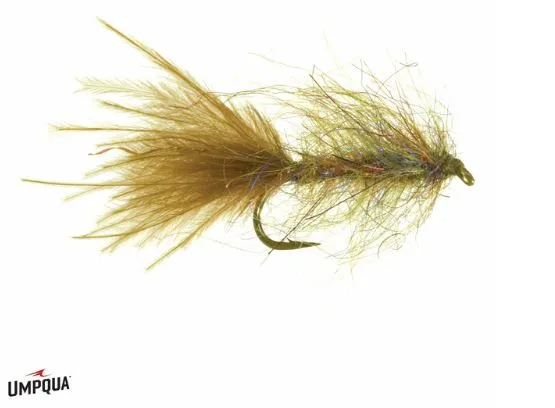 Goat Leech - Canadian Brown